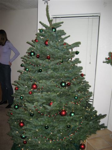 decorating the tree
